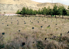 From the German prisoners&rsquo; cemetery