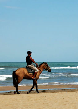 Caspian Sea shore