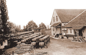 Wine maturing under the sun, registration department, Yelenendorf.