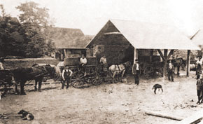 Weighing grapes, Grunfeld registration department. 1920s