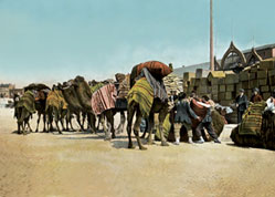 Coal bazaar (open market). Late 19th century